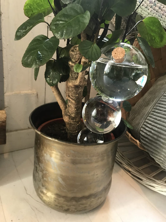 Regador automático gota-a-gota