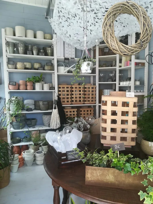Interior da loja da mylla