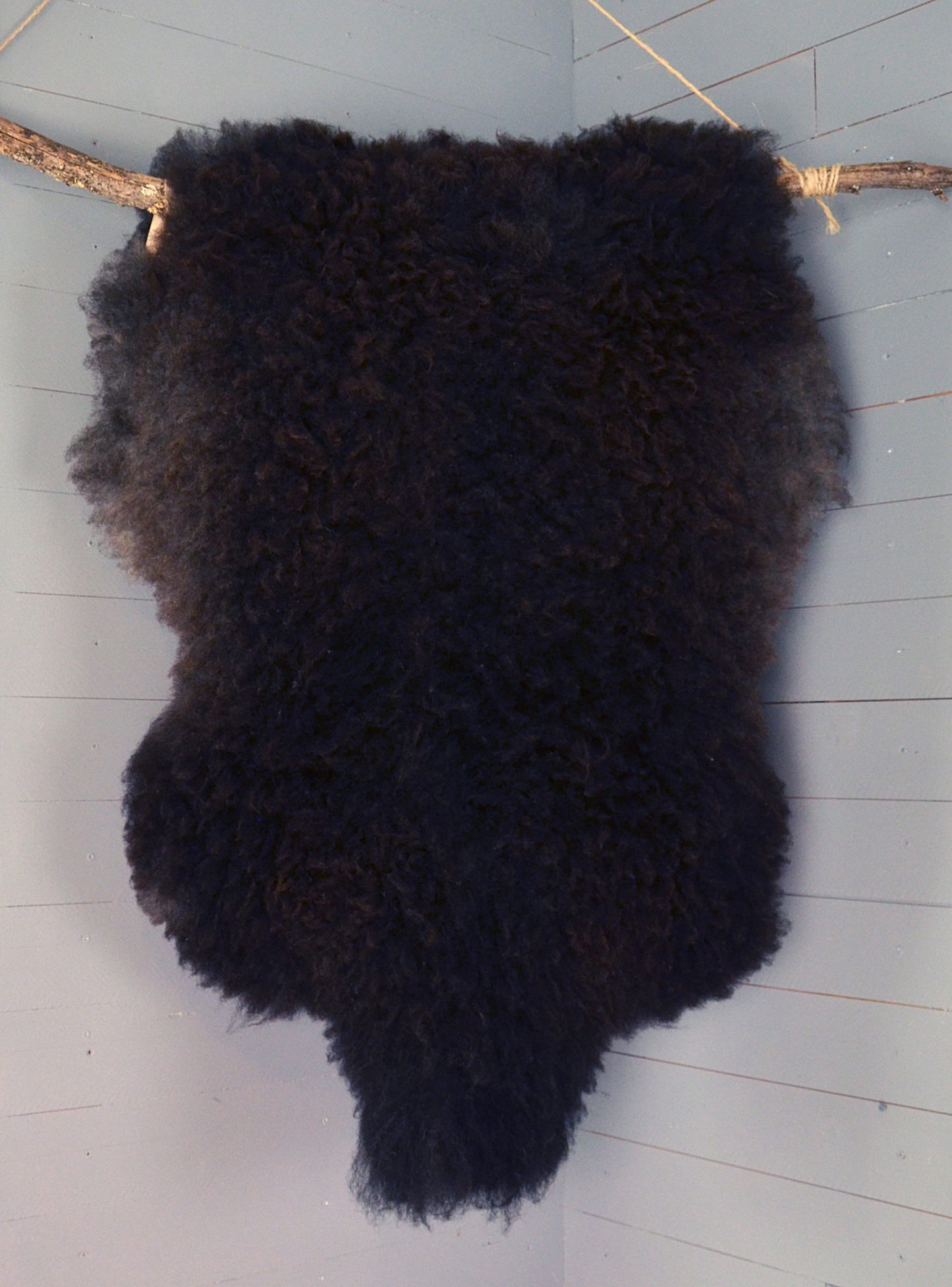 Pele de borrego biológica - Preto image