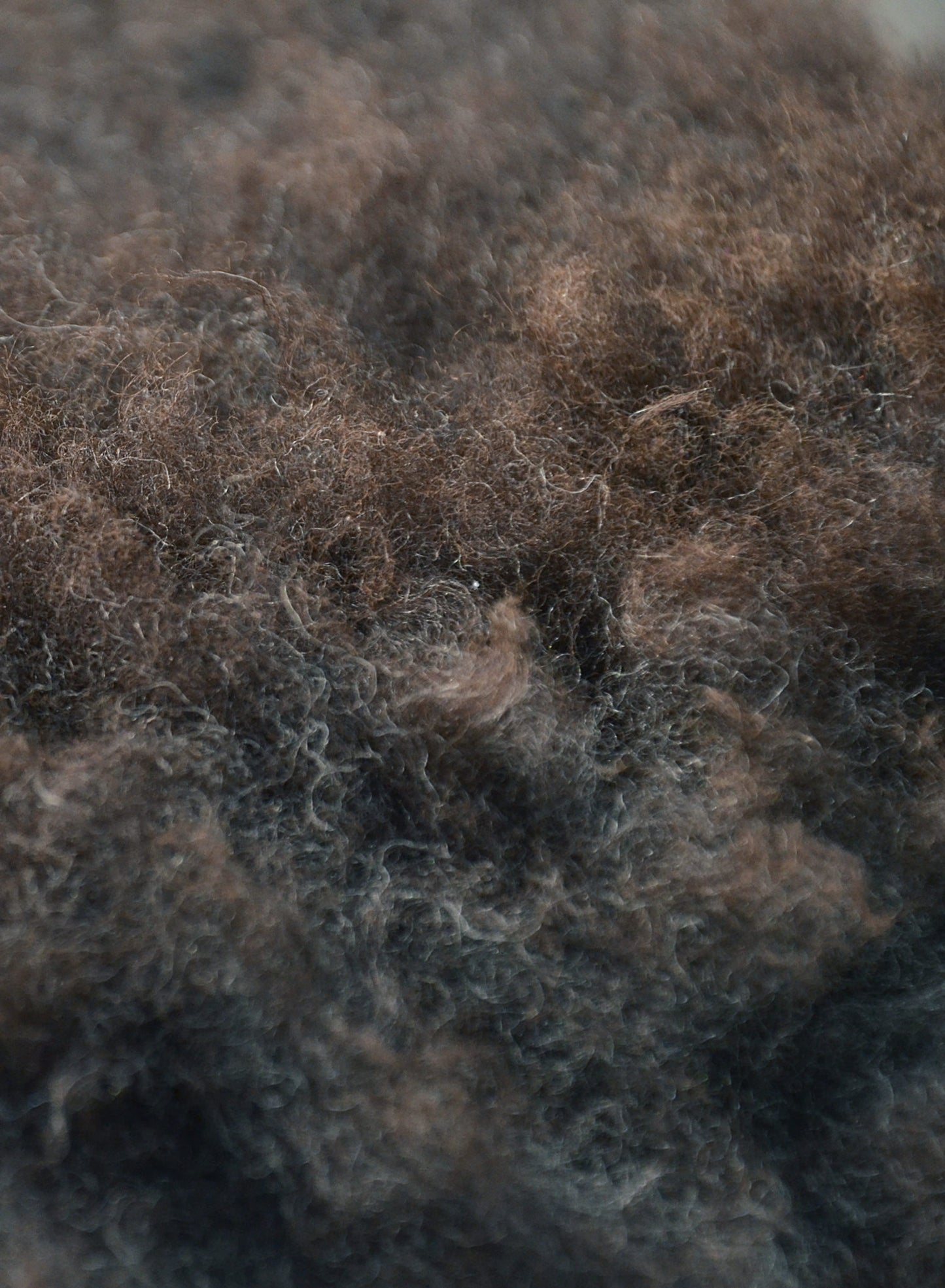 Pele de borrego biológica image 3
