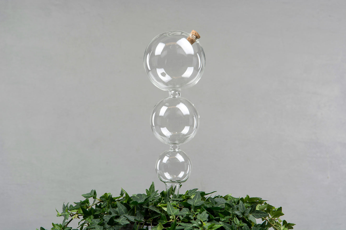 Regador gota-a-gota grande com bolhas image 1