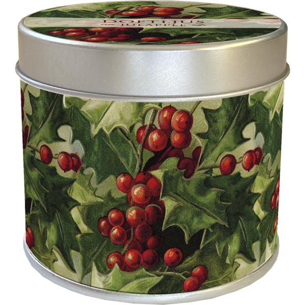 Vela aromática maçã natalícia