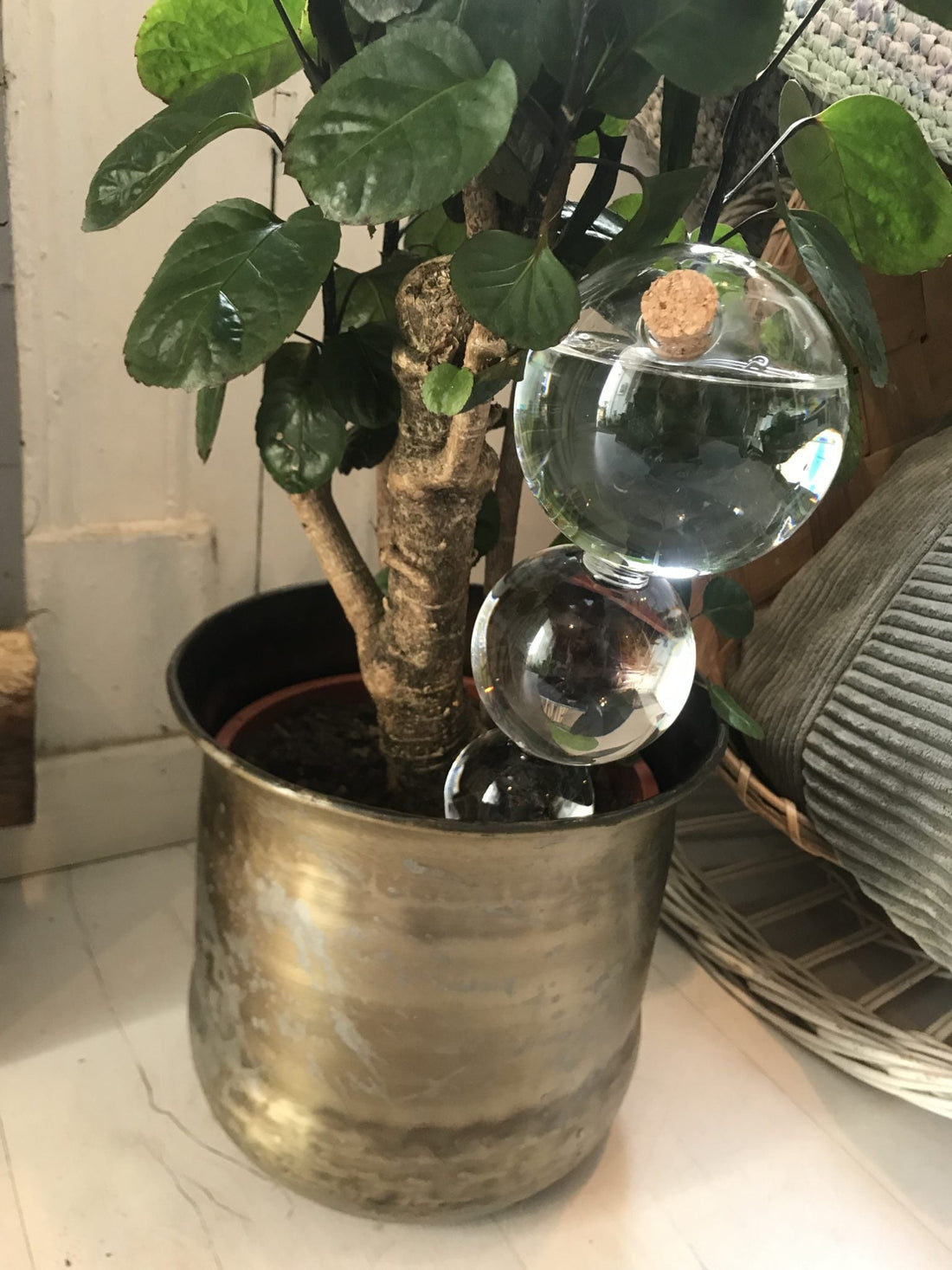 Regador automático gota-a-gota