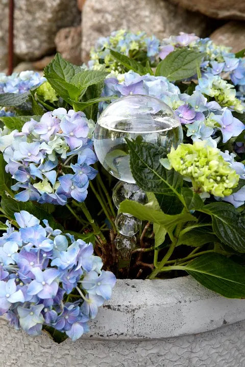 Acessórios para plantas e cultivo