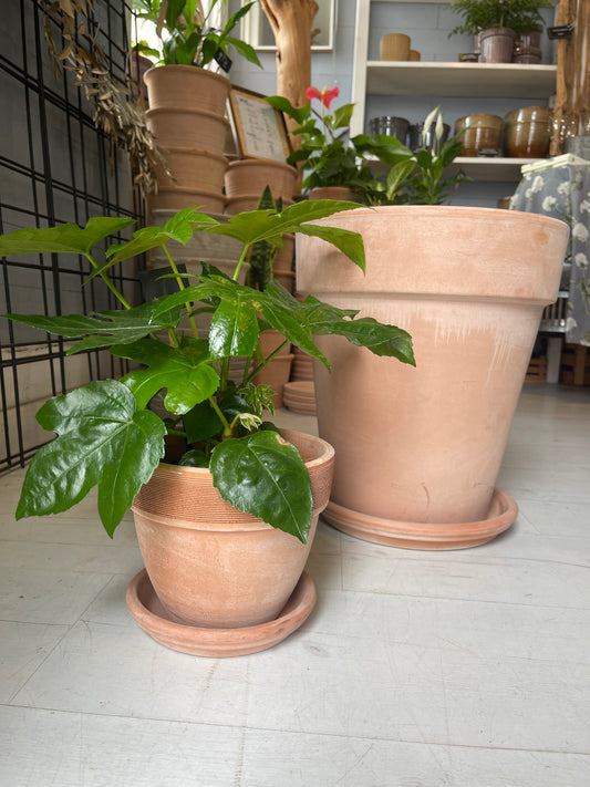 vaso grande em terracota image 1