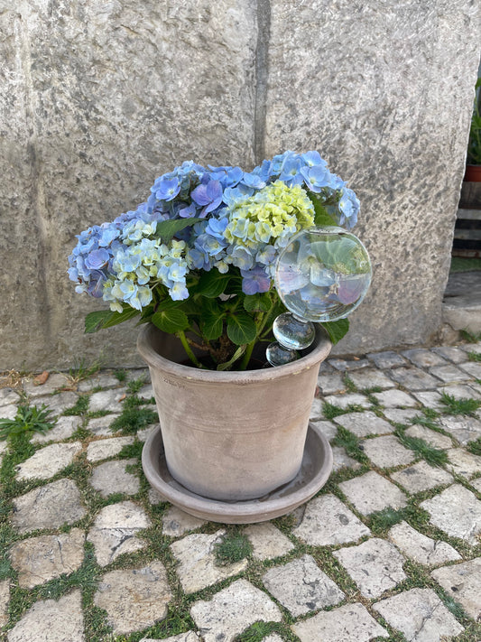 Regador gota-a-gota