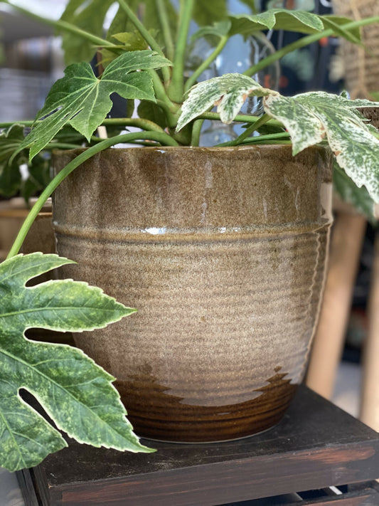 Vaso castanho Emmylo image 0