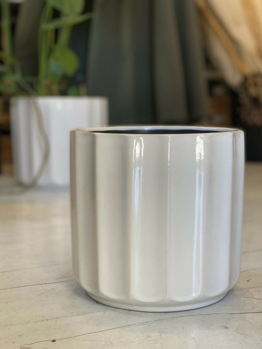 vaso Lou image 0