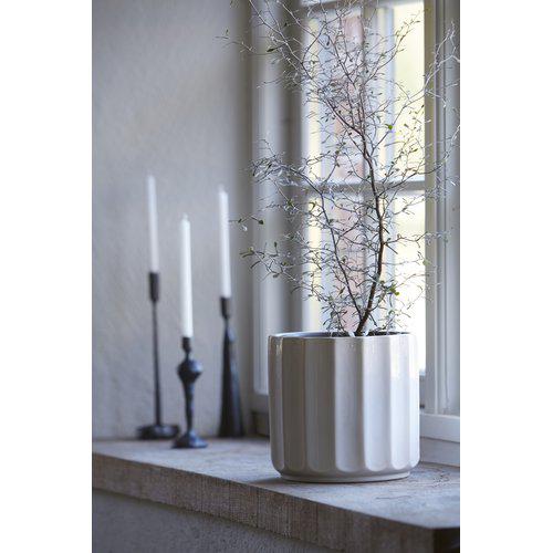 vaso Lou image 1