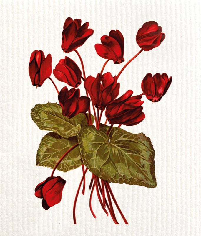 Pano Absorvente Cyclamen