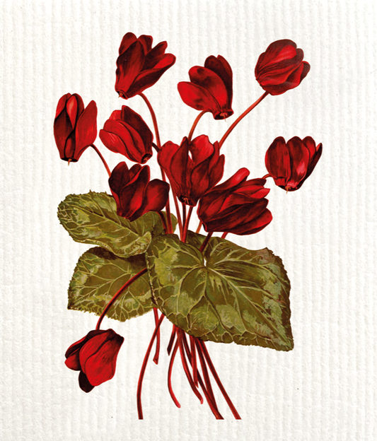 Pano Absorvente Cyclamen
