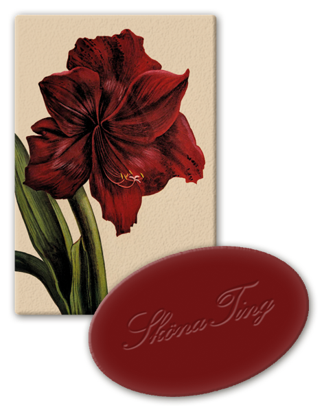 Sabonete pequeno para visitas Natal