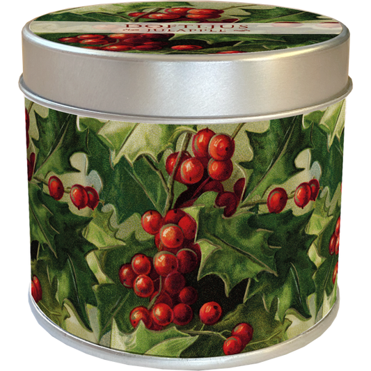 Vela aromática maçã natalícia